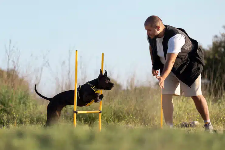 entrenador-perros-ensenando-al-perro-correr-traves-obstaculos_23-2149448225