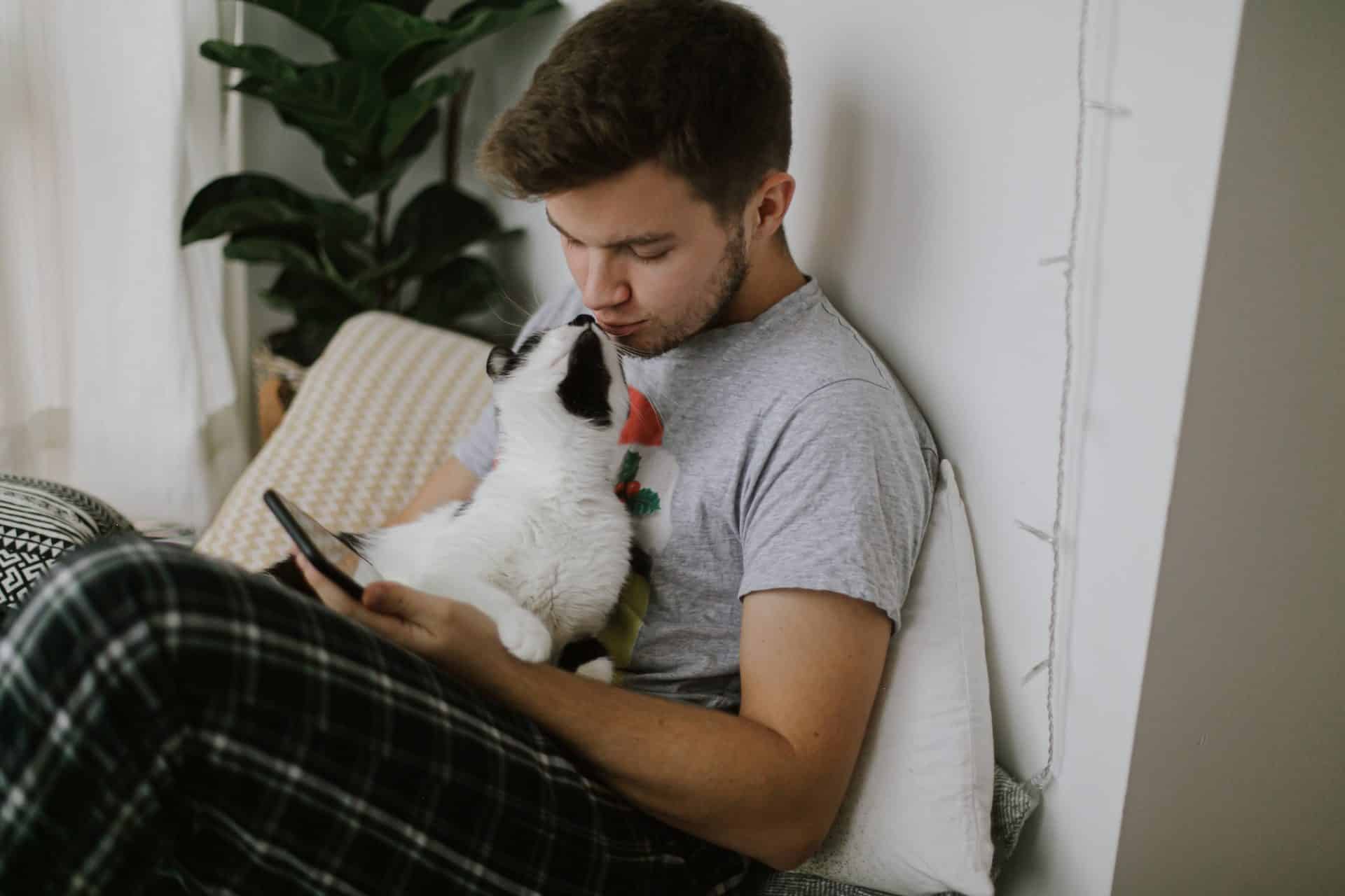 handsome-man-sitting-with-cat-and-holding-phone-in-hand-in-stylish-modern-room