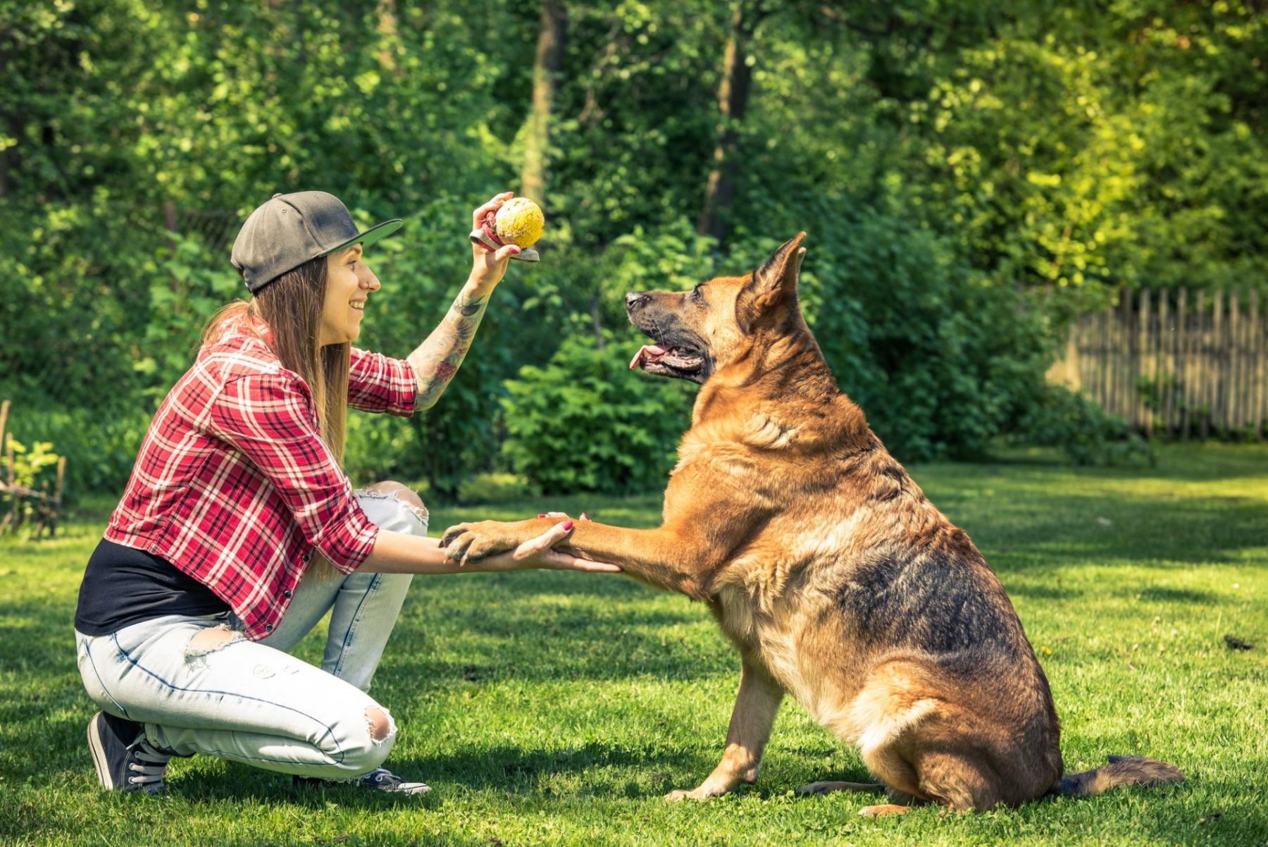 woman-and-dog-friendship-owner-and-pet-e1610112558343