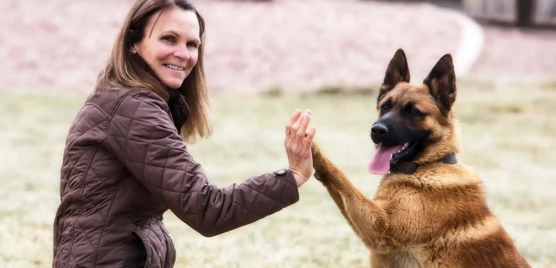 woman-dog-high-five-training-hvpwy7j4phfryexx (1)